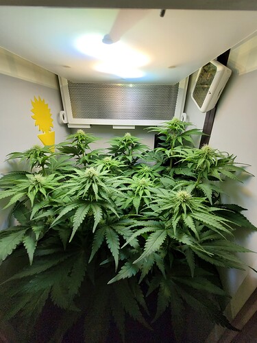 Growreport Bild 6