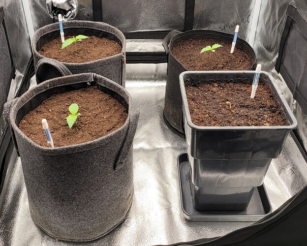 Growreport Bild 95