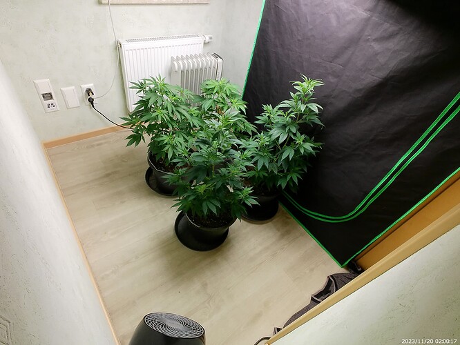 Growreport Bild 17