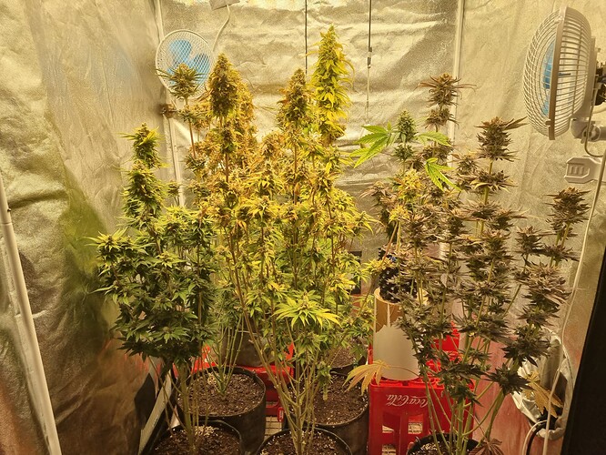 Growreport Bild 6