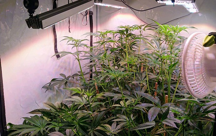 Growreport Bild 8