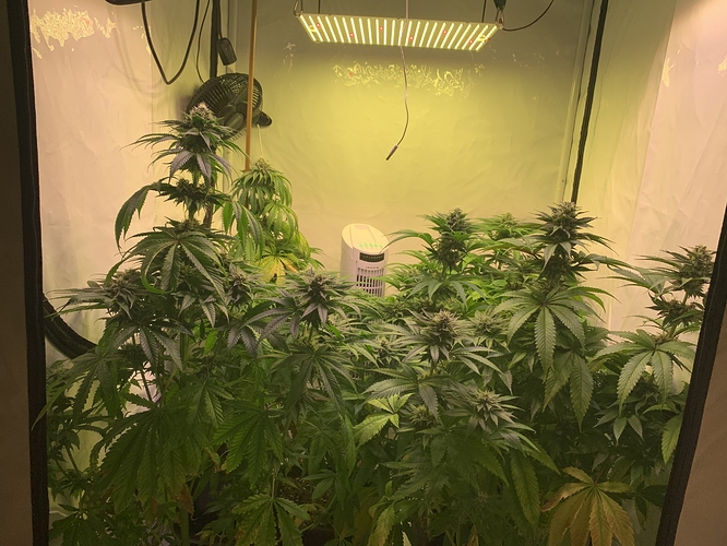 Growreport Bild 2
