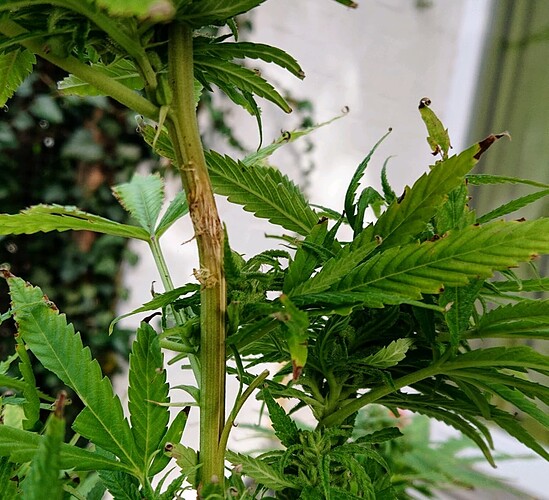 Growreport Bild 10