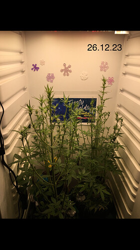 Growreport Bild 10