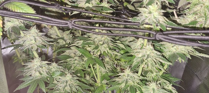 Growreport Bild 18