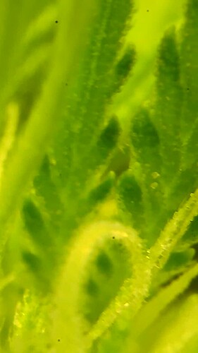 Growreport Bild 24