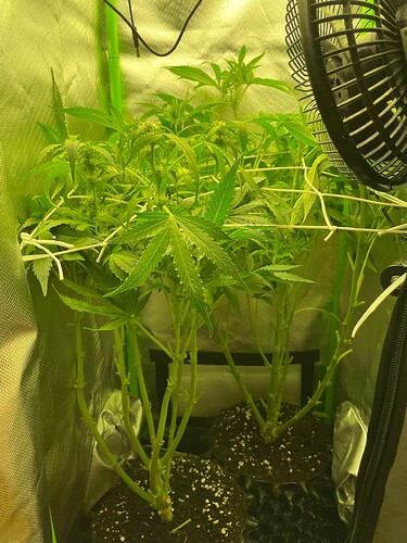 Growreport Bild 14