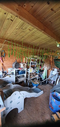 Growreport Bild 1