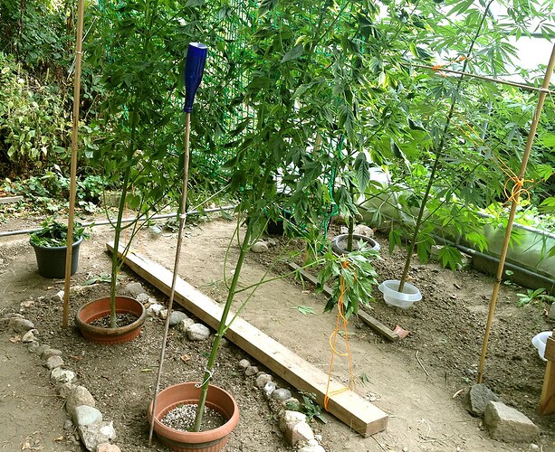 Growreport Bild 10