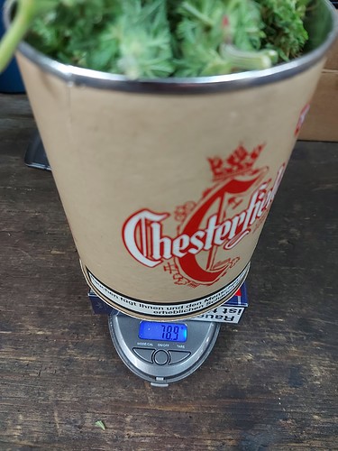 Growreport Bild 25