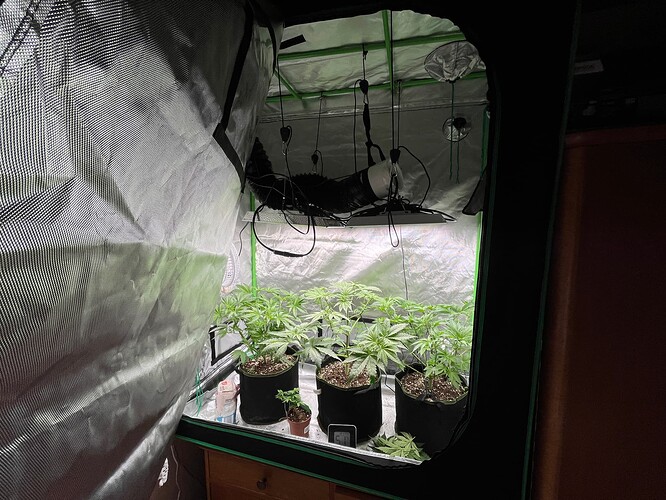 Growreport Bild 1