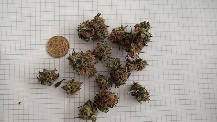 Growreport Bild 15