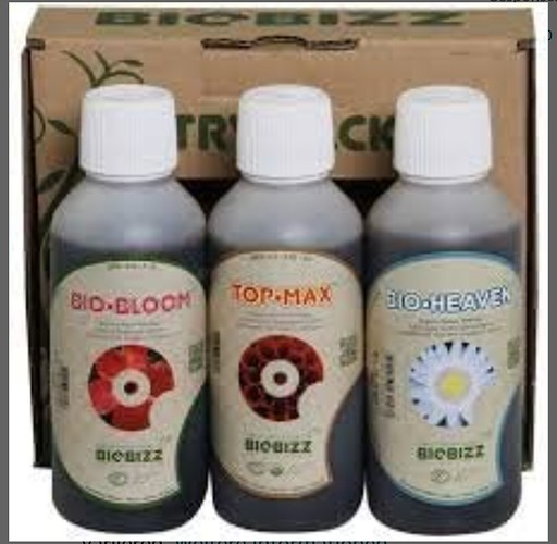 Growreport Bild 6