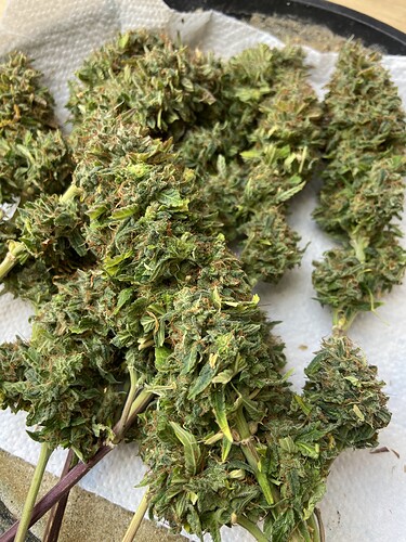 Growreport Bild 14