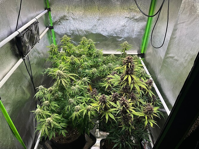 Growreport Bild 4