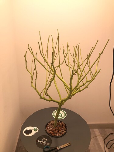 Growreport Bild 8