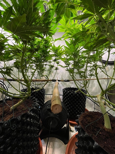 Growreport Bild 9