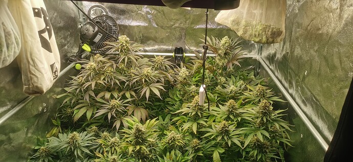 Growreport Bild 48