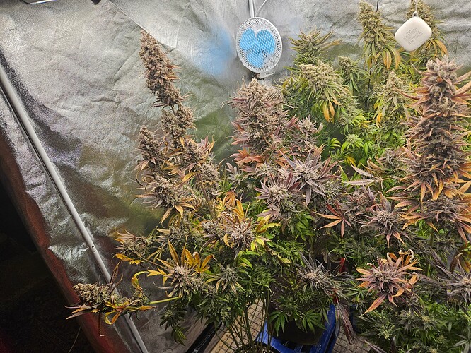 Growreport Bild 22