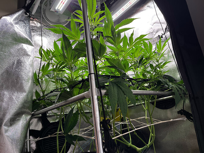 Growreport Bild 25