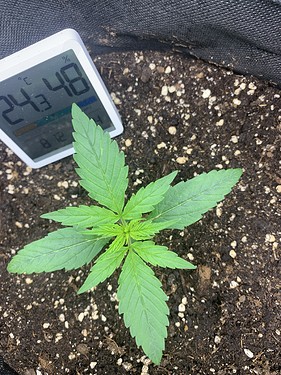 A258C490-B076-4774-80CD-D3219A115CA0