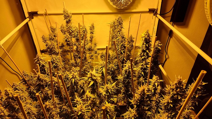 Growreport Bild 14