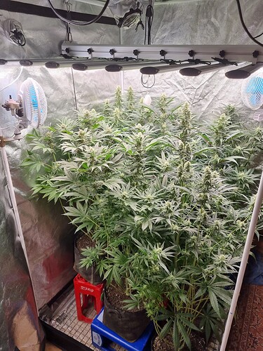 Growreport Bild 15