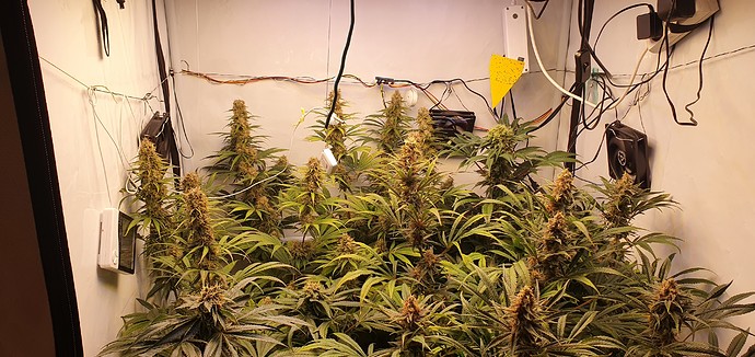 Growreport Bild 2