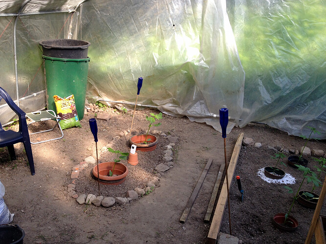 Growreport Bild 13