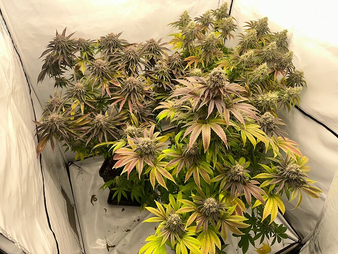 Growreport Bild 12