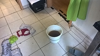 Growreport Bild 2