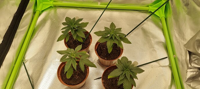 Growreport Bild 12