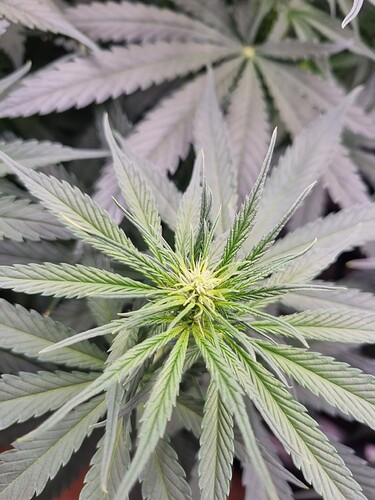 Growreport Bild 28
