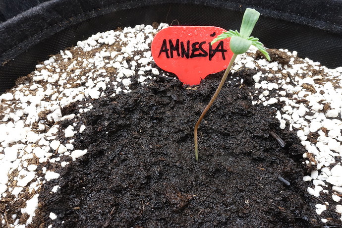Growreport Bild 26