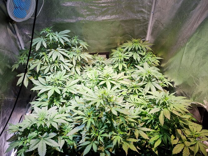 Growreport Bild 10