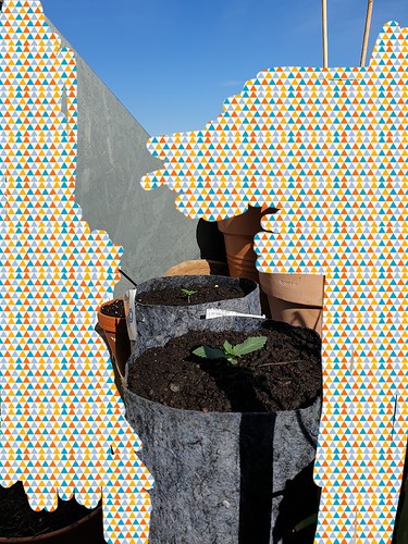 20210510_173032