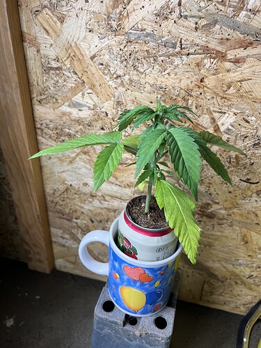Growreport Bild 19