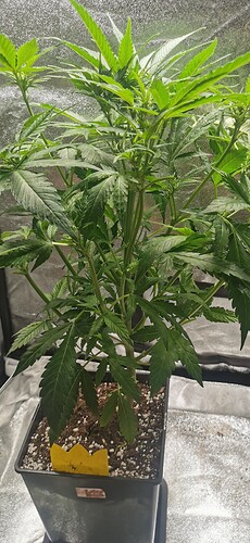 Growreport Bild 19
