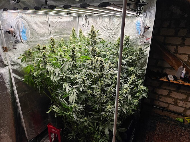 Growreport Bild 14