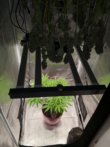 Growreport Bild 2