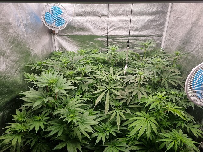 Growreport Bild 15