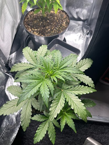 Growreport Bild 14