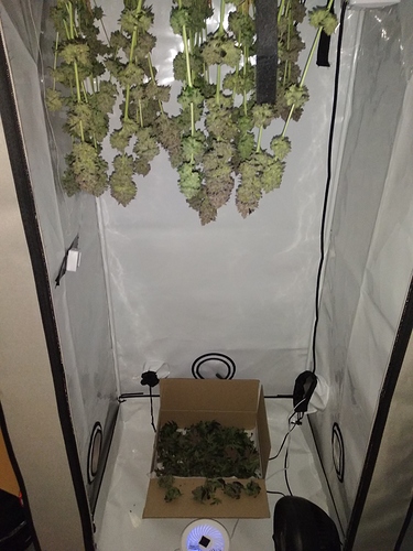 Growreport Bild 11