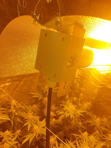 Growreport Bild 21