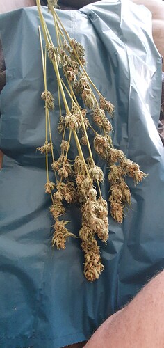 Growreport Bild 4