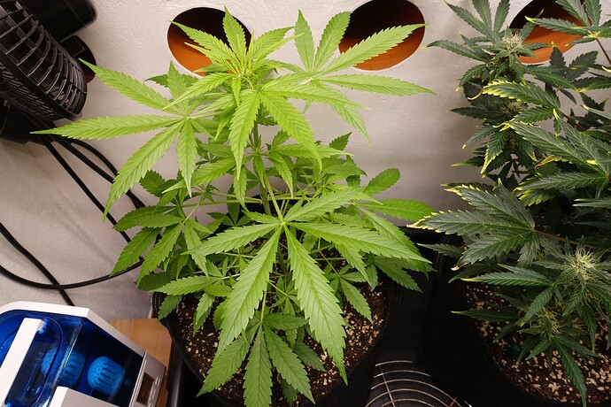 Growreport Bild 15