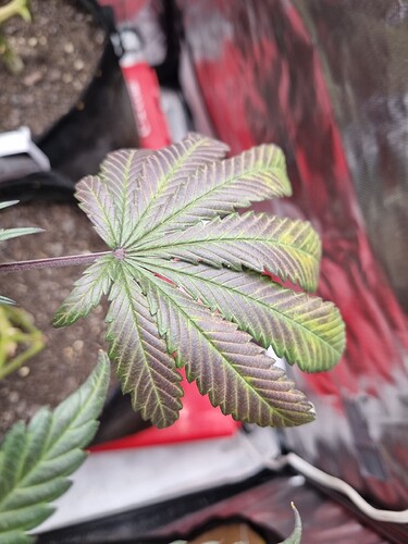 Growreport Bild 21