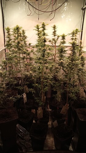 Growreport Bild 22