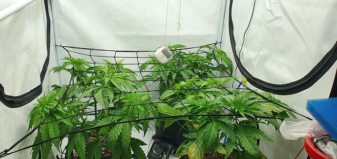 Growreport Bild 12