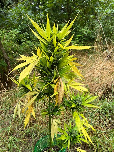 Growreport Bild 10